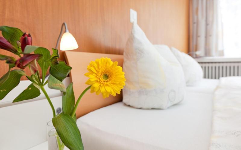 Hotel Piz Badus Andermatt Rum bild